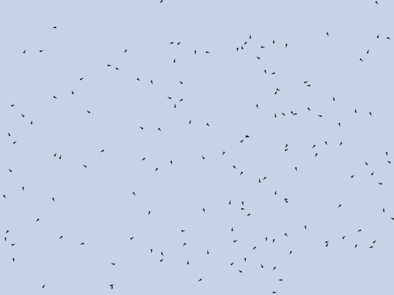 Murmuration